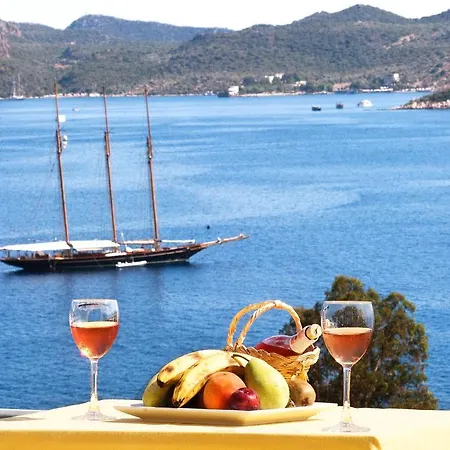 Kale Apart Vakantiehuis *