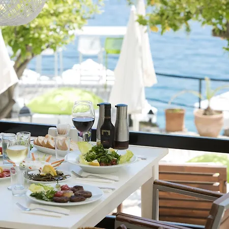 Kale Apart Vakantiehuis *